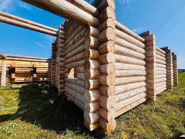 Сруб дома-бани 11×10 с террасой 37 м² из бревна ручной рубки